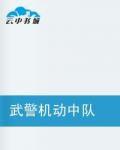 武警機動中隊 武警機動中隊