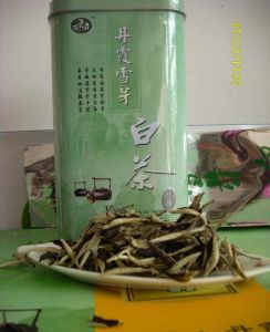 丹霞雪芽白茶 丹霞雪芽白茶