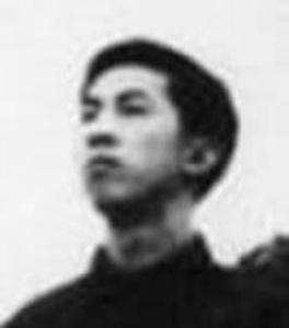 劉文輝[文化大革命時期自由撰稿人]