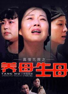 真情無限之養母·生母 真情無限之養母·生母