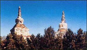 黑龍江衍福寺雙塔