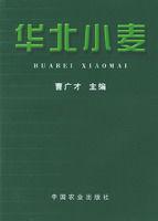 華北小麥 華北小麥