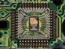 滑鼠[計算機輸入設備]