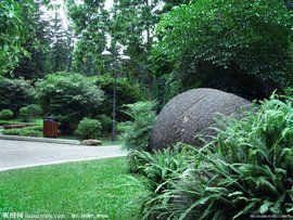 園林植物 園林植物