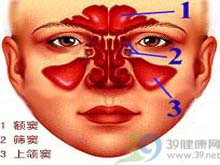上頜竇惡性腫瘤