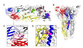 乙腦病毒 乙腦病毒