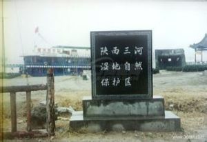 三河濕地 三河濕地