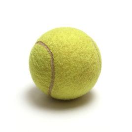 tennis[網球]