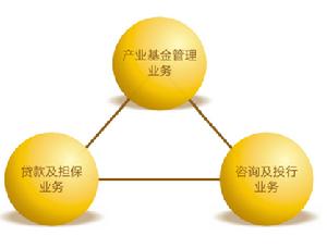 合眾投資控股股份有限公司 合眾投資控股股份有限公司