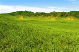 農業生態地質環境 農業生態地質環境