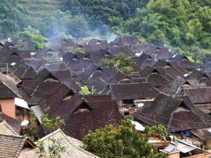 新曼傘村 新曼傘村