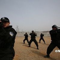 瑞士近衛隊 瑞士近衛隊