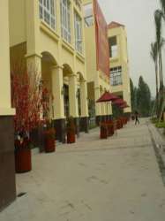 招商依山郡花園一期 招商依山郡花園一期