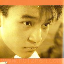 洪賜健成長經歷