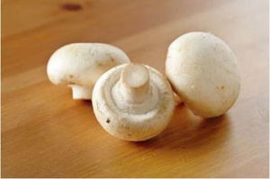 金滿大地 金滿大地