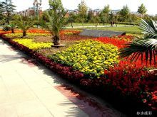 保定中華路國小 保定中華路國小