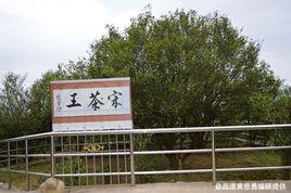 宋種芝蘭香 宋種芝蘭香