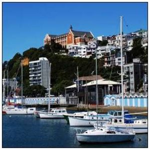 紐西蘭國慶日 紐西蘭國慶日