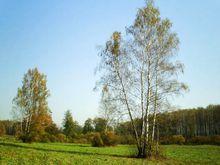 雅斯納雅&middot;波良納