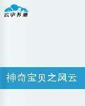 神奇寶貝之風雲天下