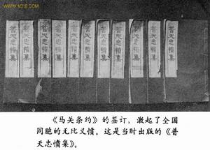 《普天忠憤集》 《普天忠憤集》