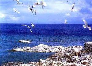 青海青海湖國家級自然保護區