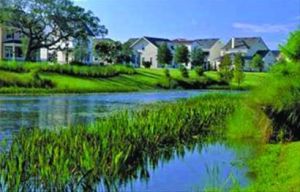 嘉定濕地公園 嘉定濕地公園