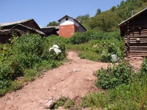 六米河村 六米河村