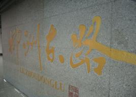 柳洲東路站 柳洲東路站
