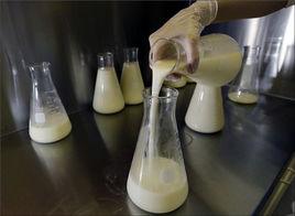 成人哺乳 成人哺乳