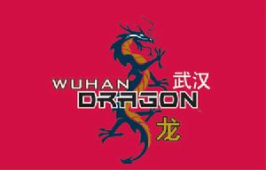 武漢龍隊的正式標誌