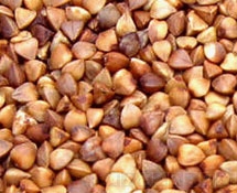 西農9940 西農9940