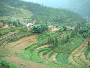 儂家灣自然村 儂家灣自然村