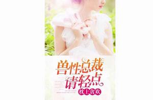 枕上貪歡:獸性總裁請輕點 枕上貪歡:獸性總裁請輕點