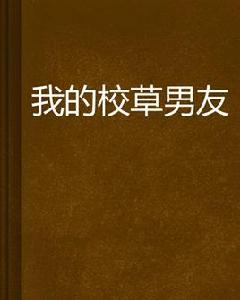 我的校草男友 我的校草男友