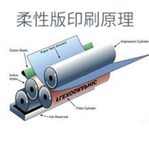 柔性版印刷