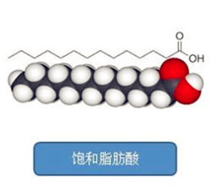 飽和脂肪酸 飽和脂肪酸