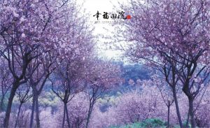 幸福田院 幸福田院