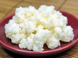 優酪乳菌種 優酪乳菌種