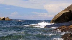 藤海海灣 藤海海灣