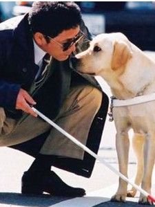 《狗的故事》 《狗的故事》