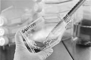 醫學模式的轉變