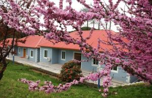 四明山莊森林度假村 四明山莊森林度假村