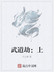 武道劫:上 武道劫:上