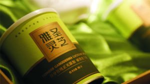 雅聖靈芝禮享裝