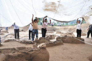 大胡莊戰鬥 大胡莊戰鬥