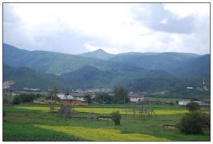 胖品自然村 胖品自然村