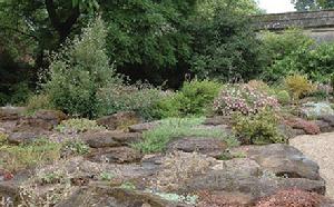 牛津大學植物園