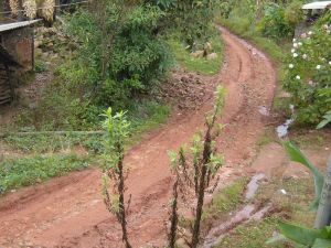 觀眾山自然村 觀眾山自然村