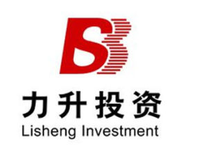 北京力升投資擔保有限公司 北京力升投資擔保有限公司